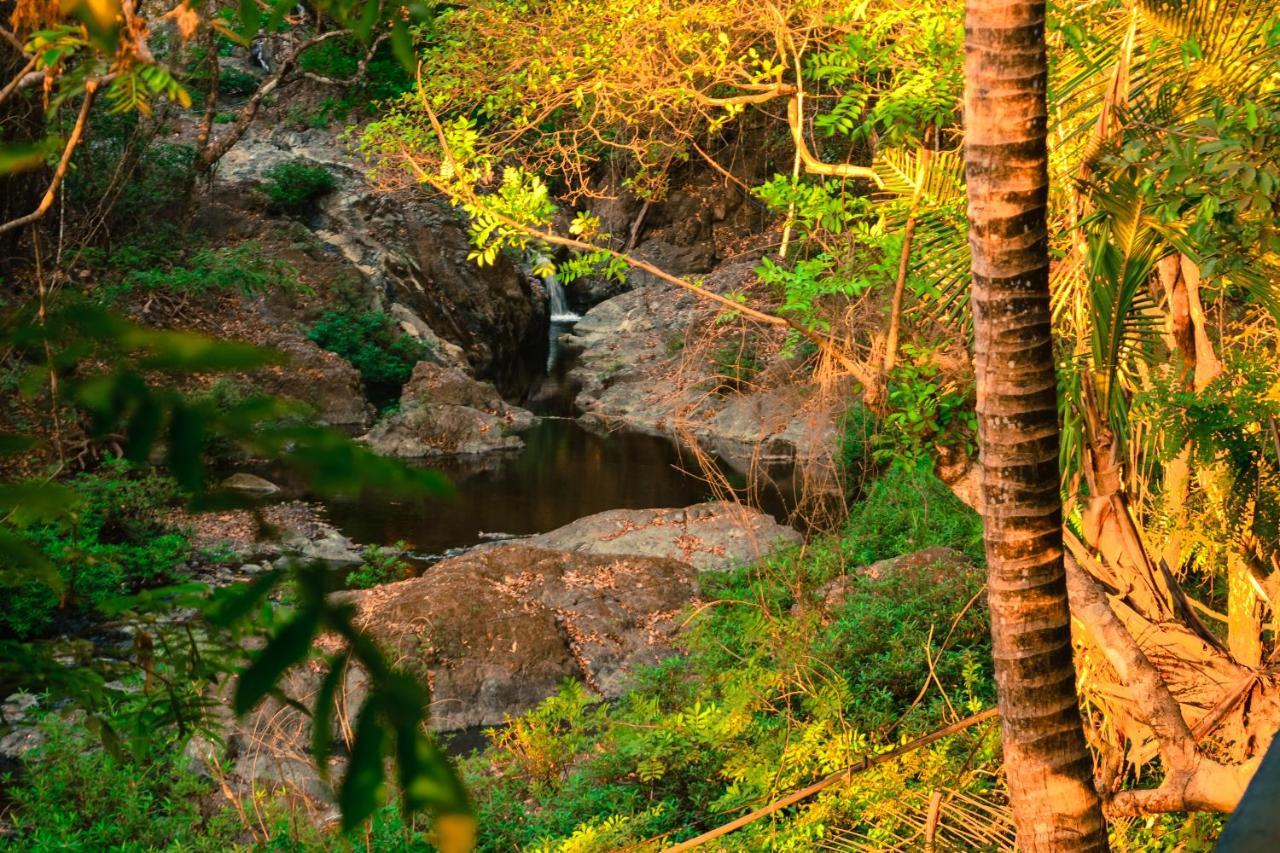 Hotel La Cascada Пунтаренас Екстер'єр фото